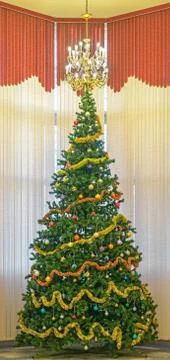 Christmas tree Stock Photos