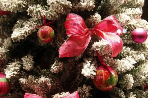 Christmas tree Stock Photos