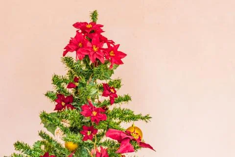 Christmas tree Stock Photos