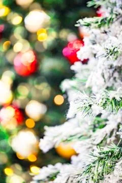 Christmas tree. Stock Photos