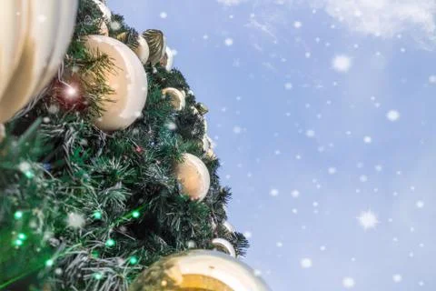 Christmas tree Stock Photos