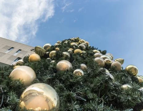 Christmas tree Stock Photos
