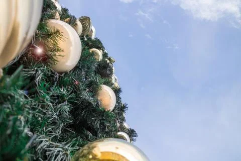 Christmas tree Stock Photos