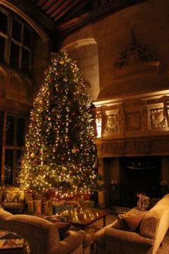 Christmas Tree Stock Photos