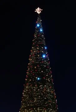 Christmas Tree Stock Photos