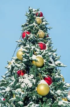 Christmas tree Stock Photos