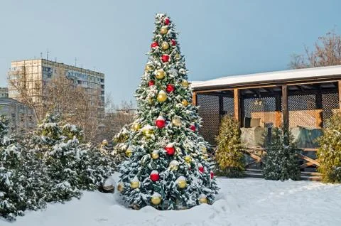 Christmas tree Stock Photos