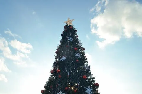 Christmas tree Stock Photos