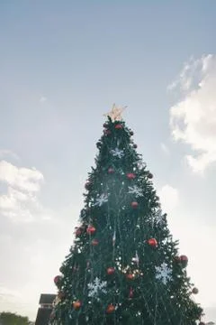 Christmas tree Stock Photos