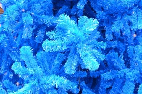 Christmas tree Foto stock