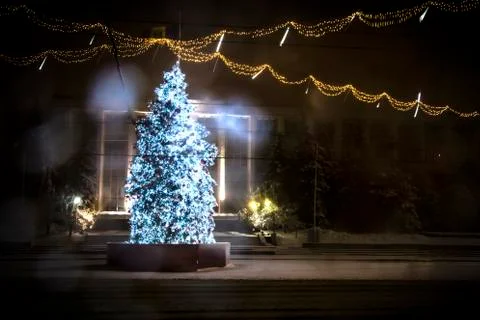 Christmas tree Stock Photos