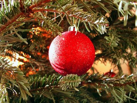 Christmas tree Stock Photos