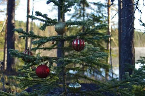 Christmas tree Stock Photos