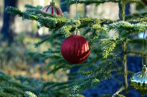 Christmas tree Stock Photos