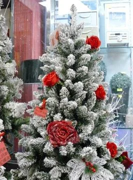 Christmas tree Stock Photos
