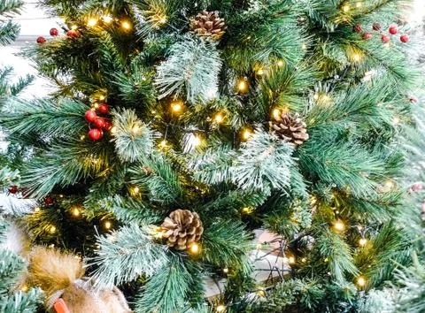 Christmas tree Stock Photos