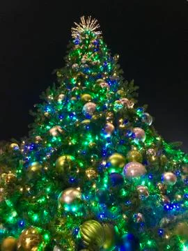 Christmas Tree Foto stock