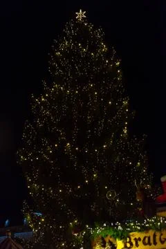 A christmas tree Stock Photos
