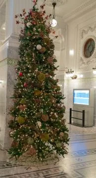 Christmas tree Stock Photos
