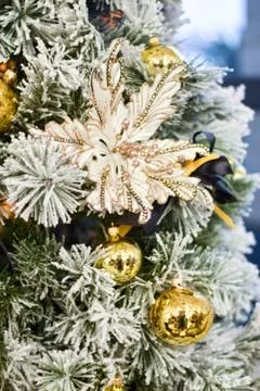 Christmas tree Stock Photos