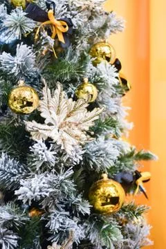 Christmas tree Stock Photos