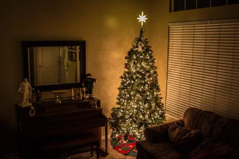 Christmas Tree Stock-Fotos