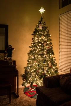 Christmas Tree Stock Photos
