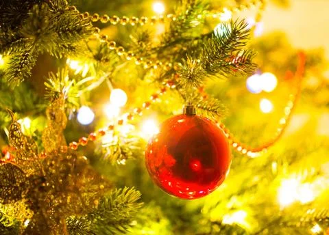 Christmas tree Stock Photos