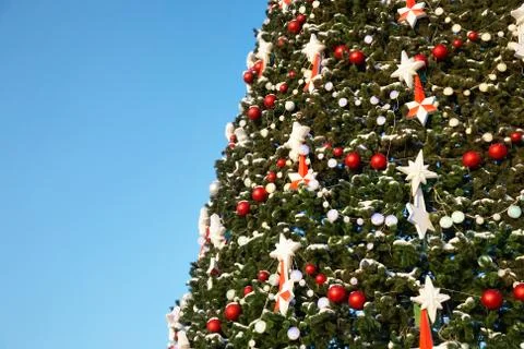 Christmas tree Stock Photos