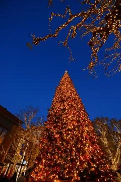 Christmas tree Stock Photos