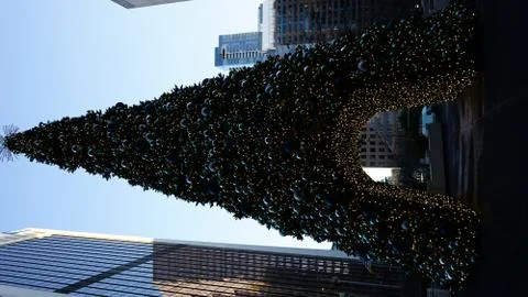 A Christmas tree Stock Photos