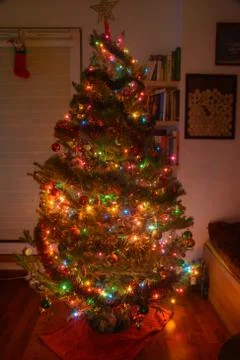 Christmas tree Stock Photos