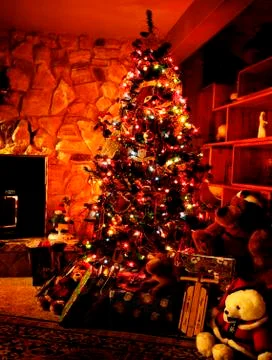 Christmas Tree Stock Photos