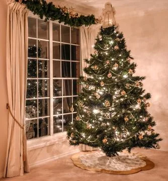 Christmas Tree. Stock Photos