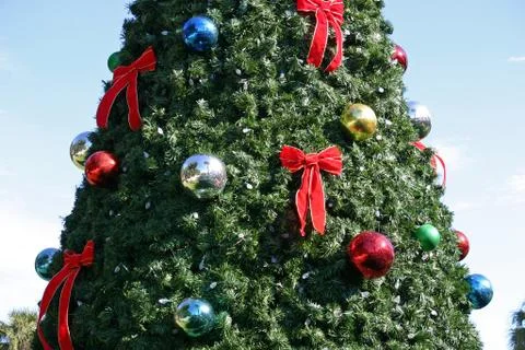 Christmas Tree Stock Photos