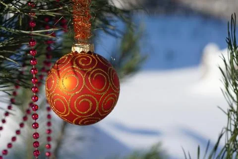 Christmas tree Stock Photos