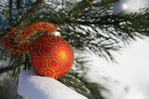 Christmas tree Stock Photos