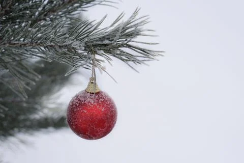Christmas tree Stock Photos