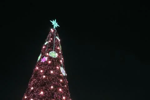 Christmas tree Stock Photos