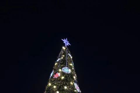 Christmas tree Stock Photos