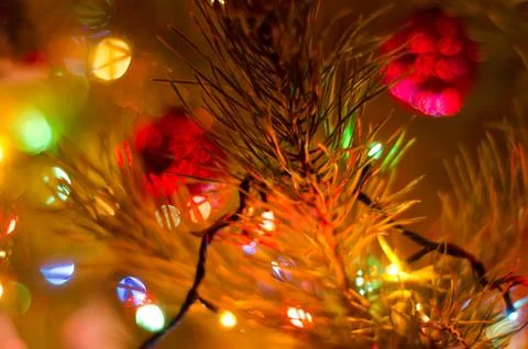 Christmas tree Stock Photos