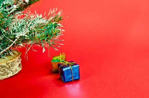 Christmas tree 스톡 사진