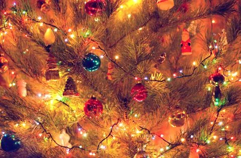 Christmas tree Stock Photos