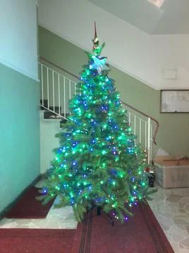 Christmas tree Stock Photos