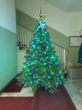 Christmas tree Stock Photos