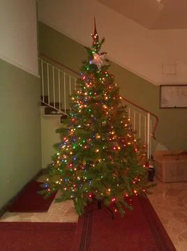 Christmas tree Stock Photos