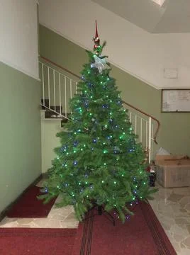 Christmas tree Stock Photos