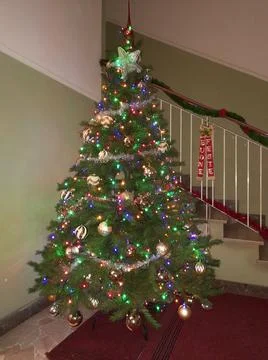 Christmas tree Stock Photos