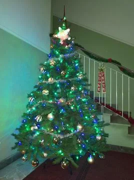 Christmas tree Foto stock