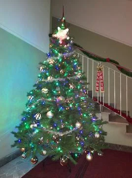 Christmas tree Stock Photos